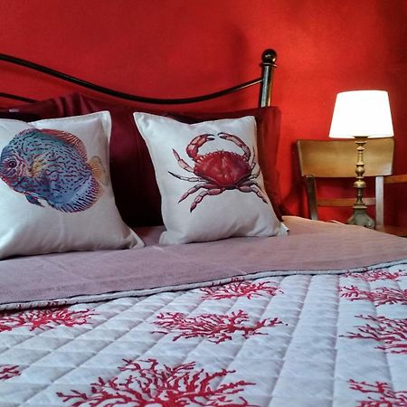 Agriturismo Gocce Di Luna 첼레리구레 외부 사진