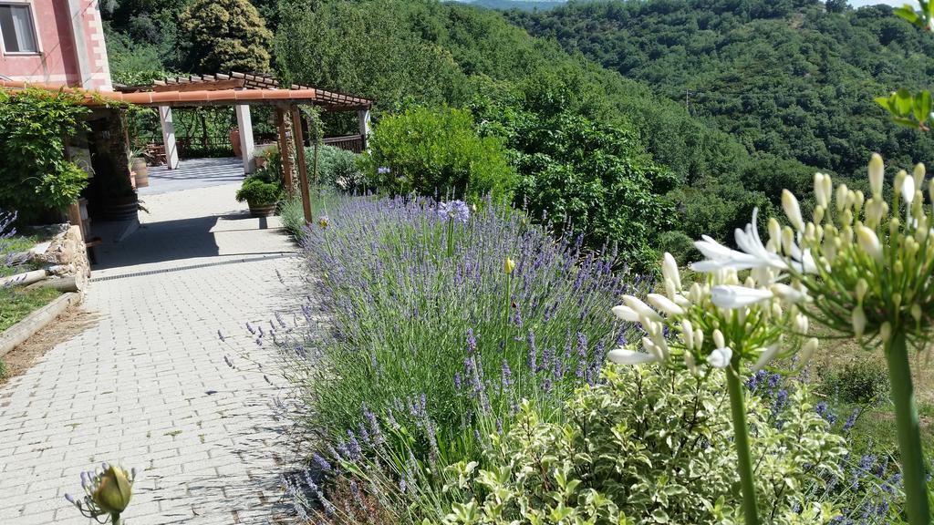Agriturismo Gocce Di Luna 첼레리구레 외부 사진